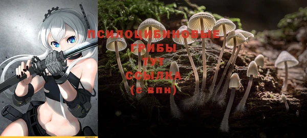 синтетический гашиш Баксан