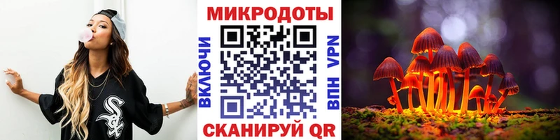 Псилоцибиновые грибы мицелий  Хасавюрт 